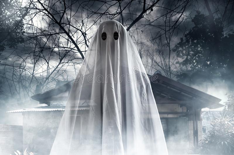 Fantasma misterioso sulla casa frequentata 101914181