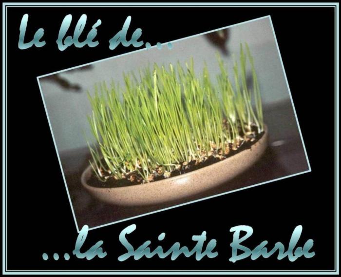 Le ble de ste barbe mpi 1024x832