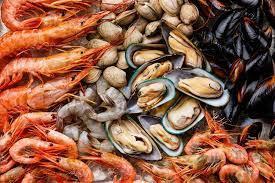 Molluschi1